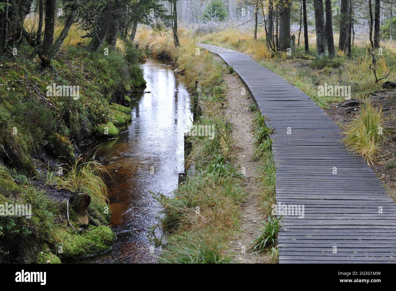 Oker valley in autumn Stock Photo