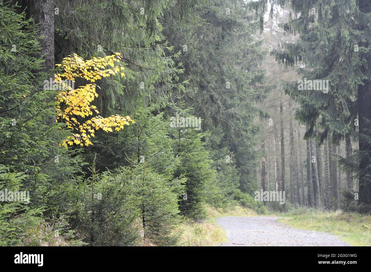 Granitstelen Hi Res Stock Photography And Images Alamy
