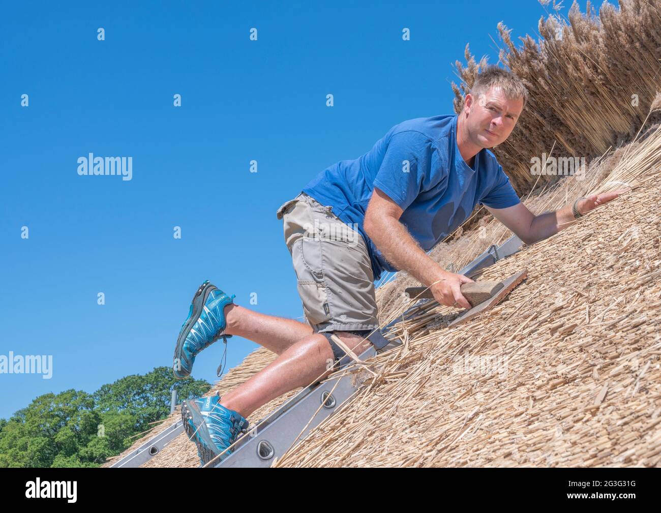 Old Warden, Bedfordshire, UK. 15 June 2021.   On one of the hottest days of the year Chris Dodson, a fourth-generation master thatcher, working with traditional water reed to re-thatch a sports pavilion roof. Once finished the thatch will last typically forty to fifty years before needing replacing.   Credit: Matt Limb OBE/Alamy Live News Stock Photo