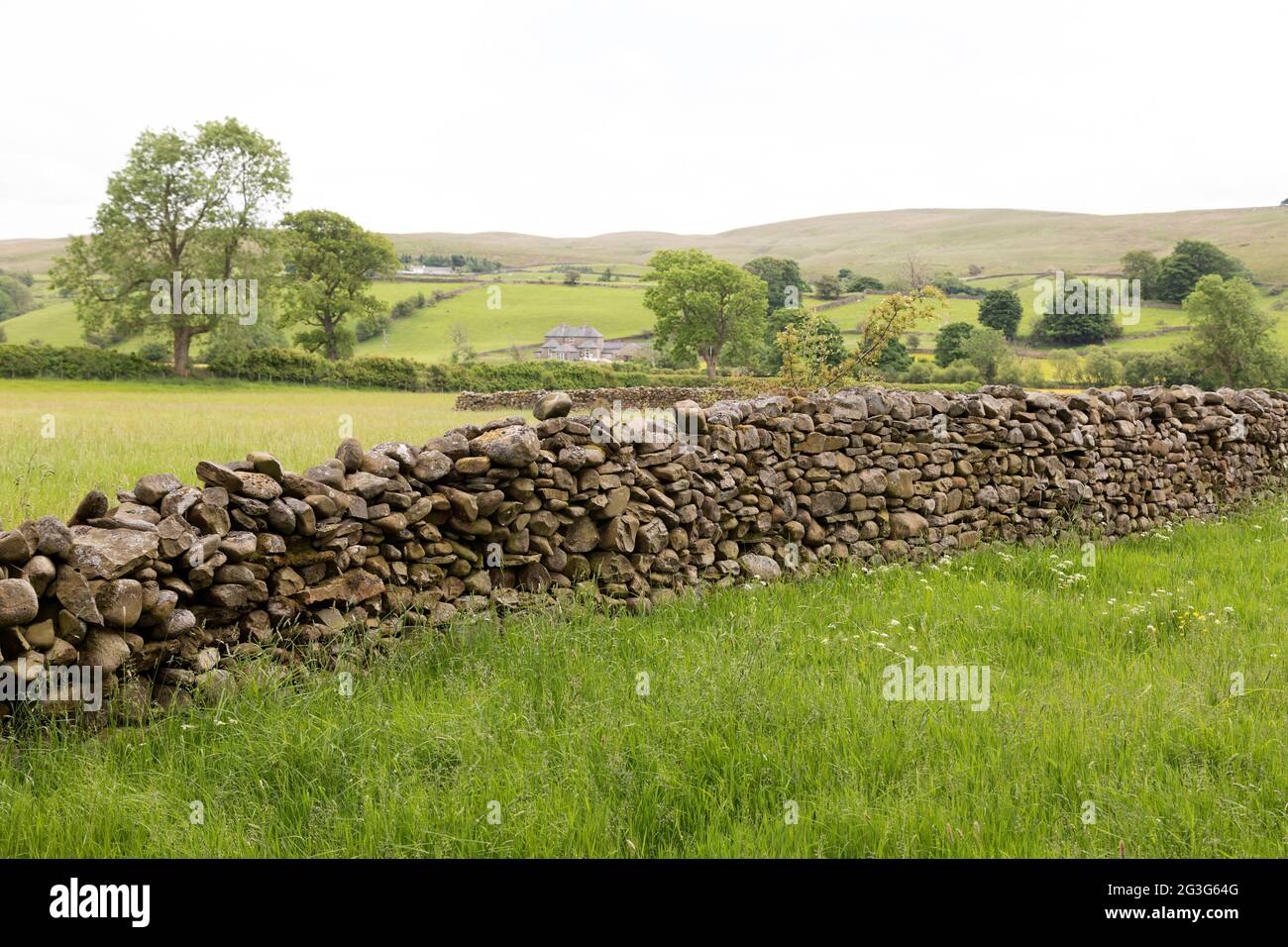 Dry stone wall in a field near Sedbergh in Cumbria, England. Sedbergh is in the Yorkshire Dales National Park. Stock Photo
