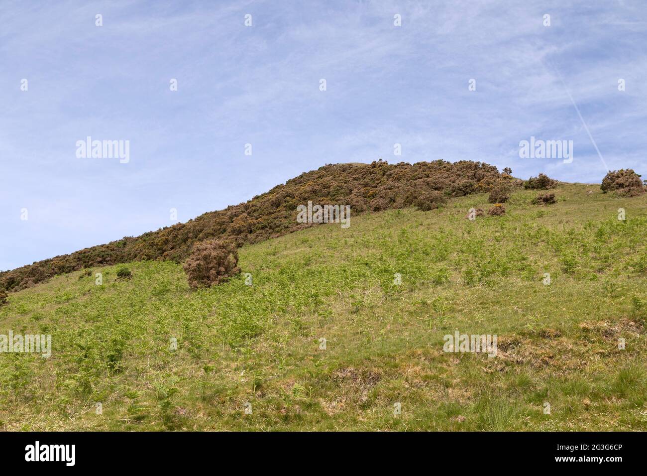 Hillside of Winder in the Yorkshire Dales National Park, England. Winder is near Sedbergh in Cumbria. Stock Photo