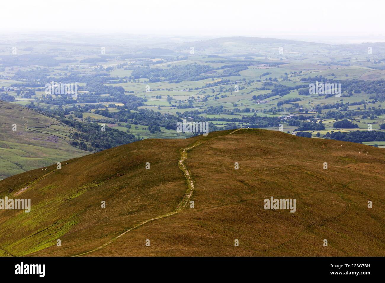 Footpath leading towards Winder in the Yorkshire Dales National Park, England. The hill offers views over the surrounding fields and countryside. Stock Photo