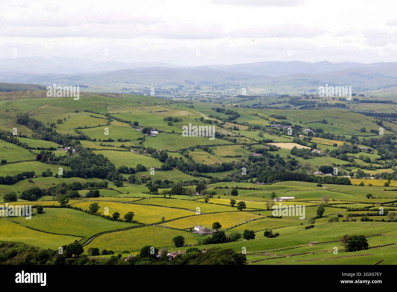 Fields around the town of Sedbergh in Cumbria, England. Sedbergh is in the Yorkshire Dales National Park. Stock Photo
