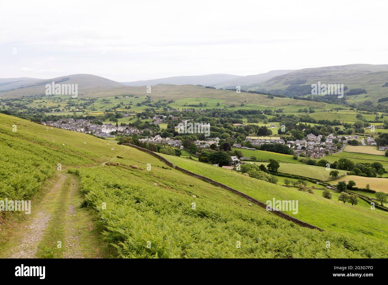 Track in a field above the town of Sedbergh in Cumbria, England. Sedbergh is in the Yorkshire Dales National Park. Stock Photo