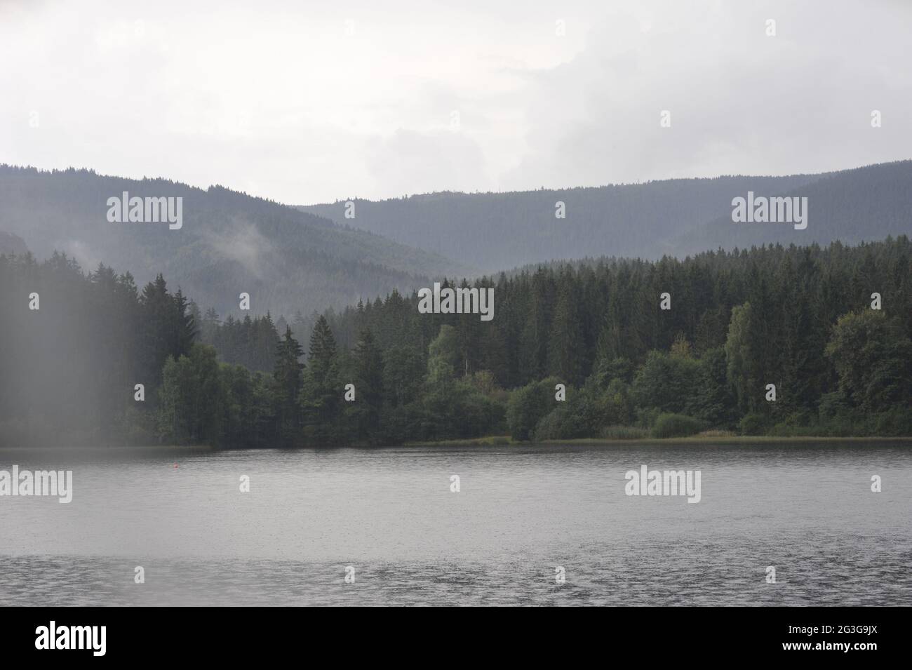 Misty landscape in SÃ¶sestausee,Harz,Germany. Stock Photo