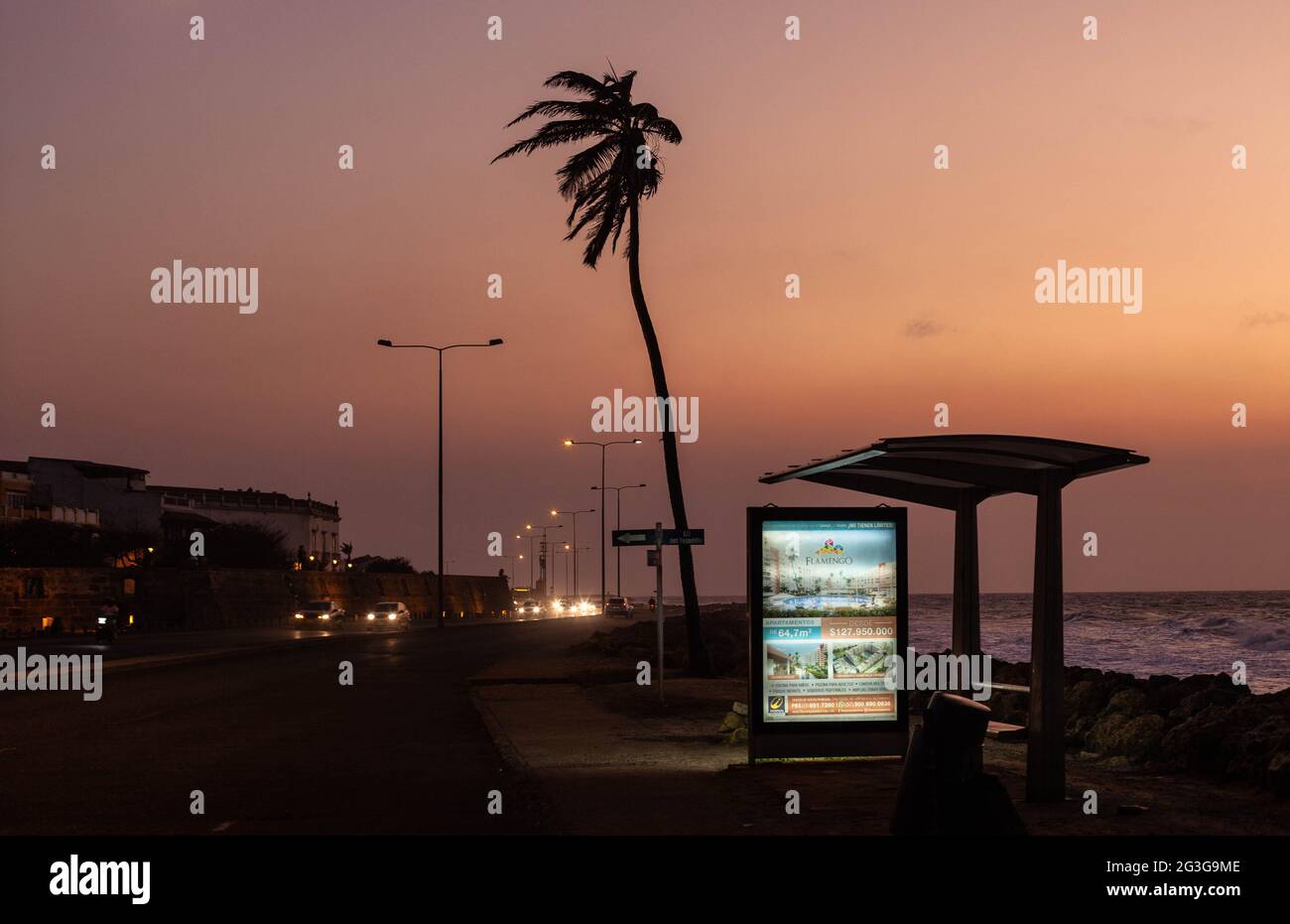 Bus shelter and palm tree on Avenida Santander, Cartagena de Indias, Colombia. Stock Photo