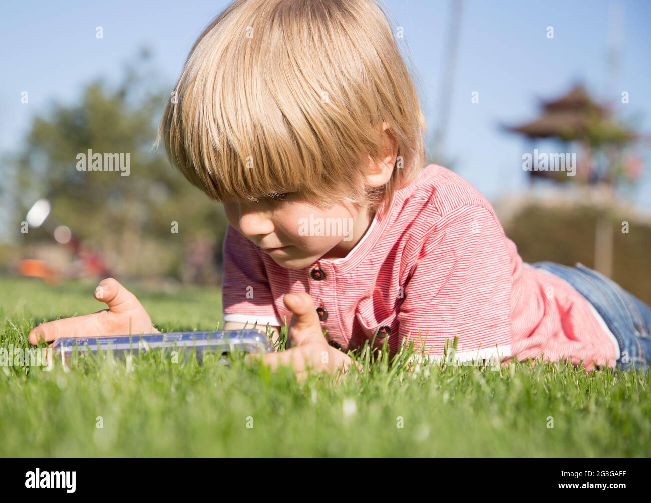 Portrait Of A Boy Of 4 5 Years Old Who Lies On A Green Summer Meadow