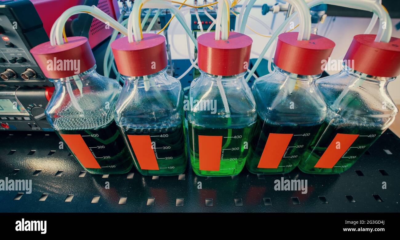 Experimental setup for enzymatic synthesis by modified
