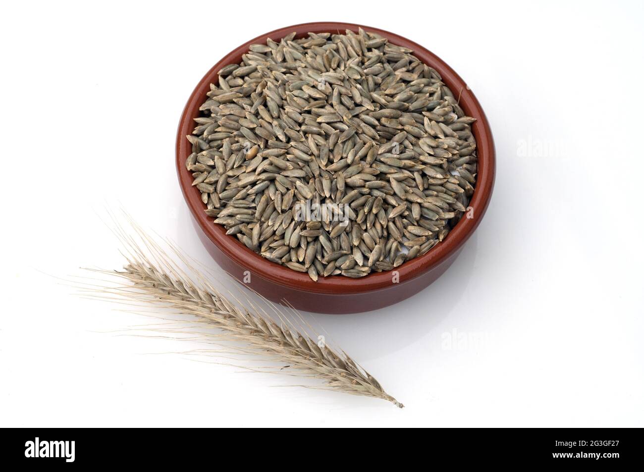 Rye Free Cut Out Stock Images & Pictures - Alamy