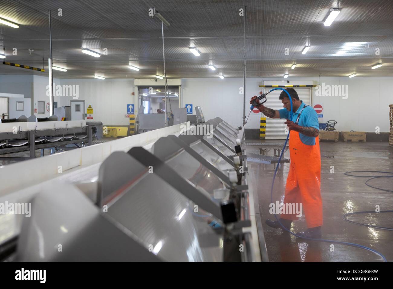 Haddock, Grimsby Fish Market, Grimsby Docks, Uk Fishing Stock Photo Alamy