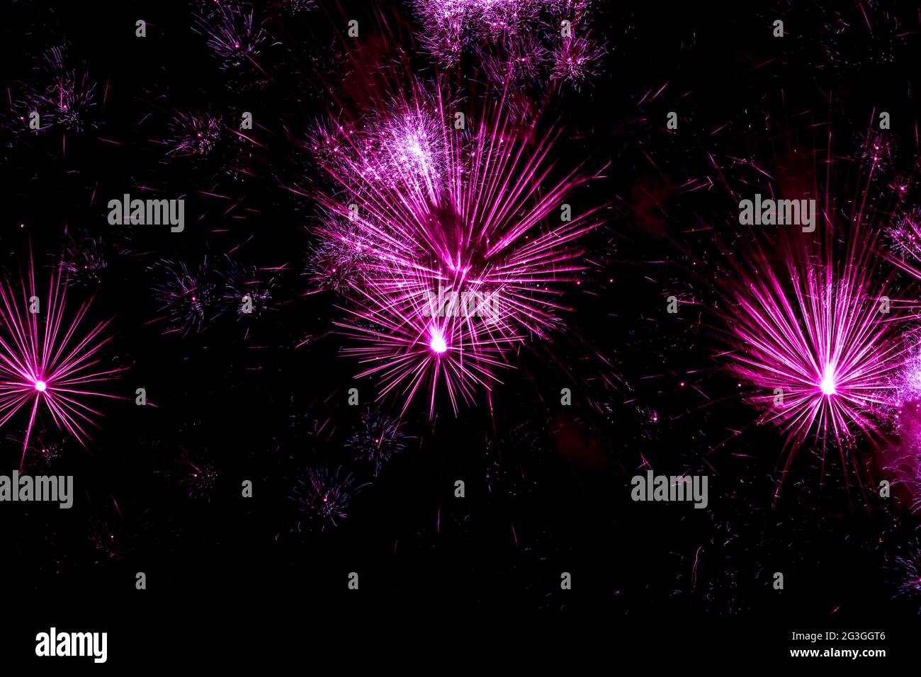 Pink fireworks in a black night sky Stock Photo