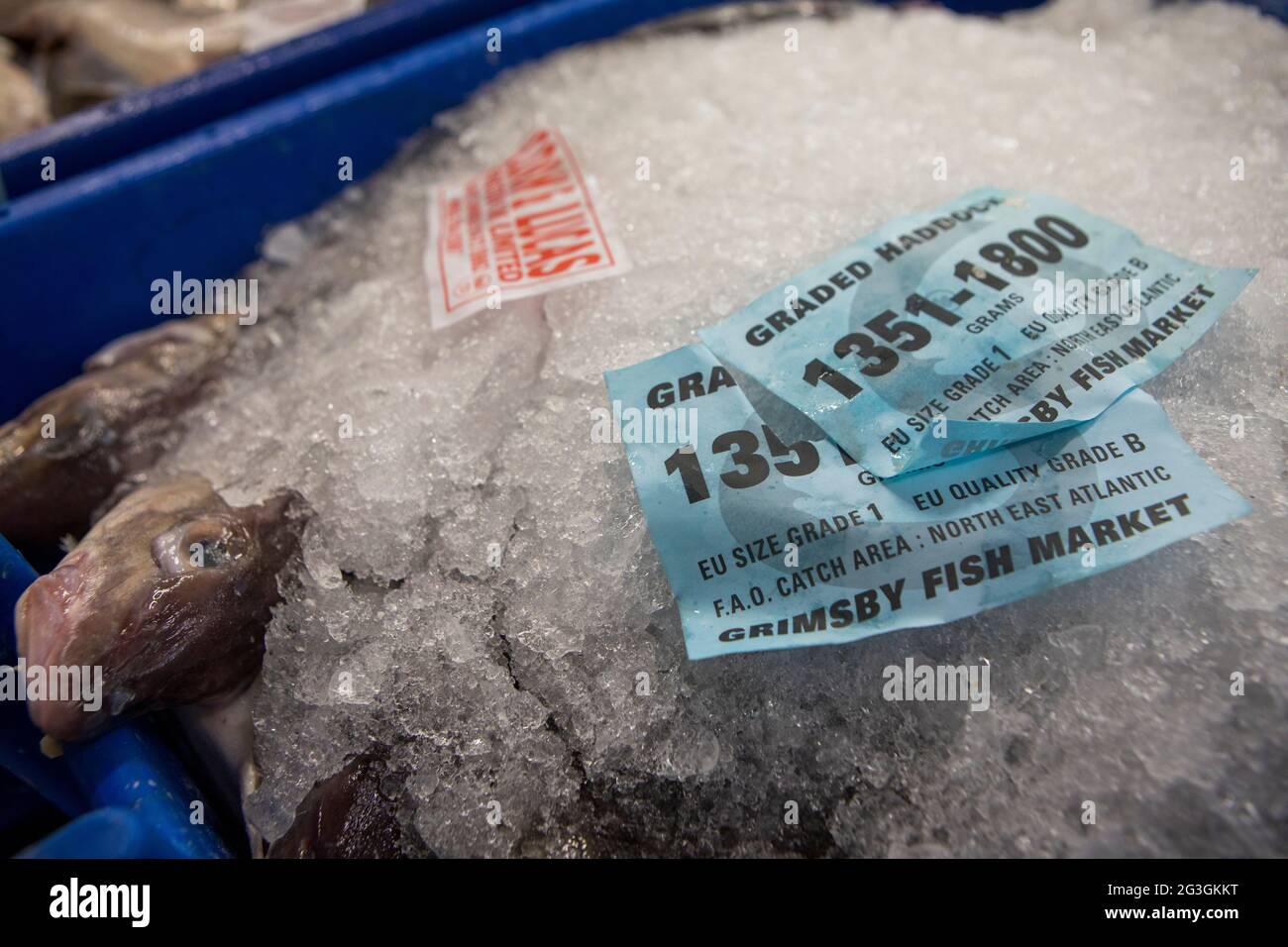 Haddock, Grimsby Fish Market, Grimsby Docks, Uk Fishing Stock Photo Alamy