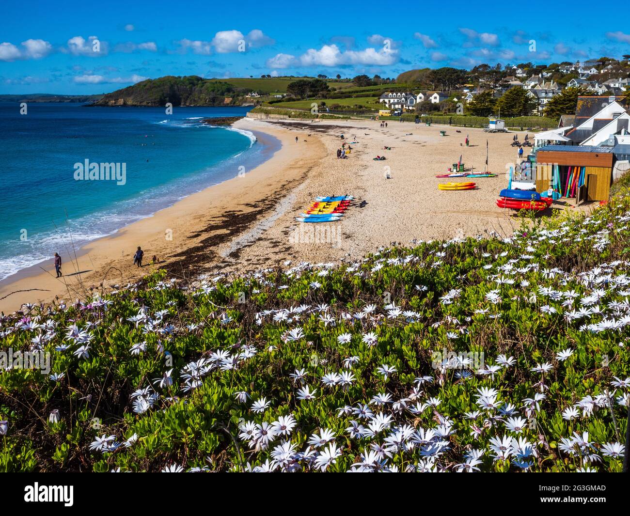 Gyllyngvase Beach Falmouth Cornwall UK in late spring. Blue Flag Beach. Gyllyngvase is from the Cornish Gilen Vas meaning shallow inlet. Stock Photo