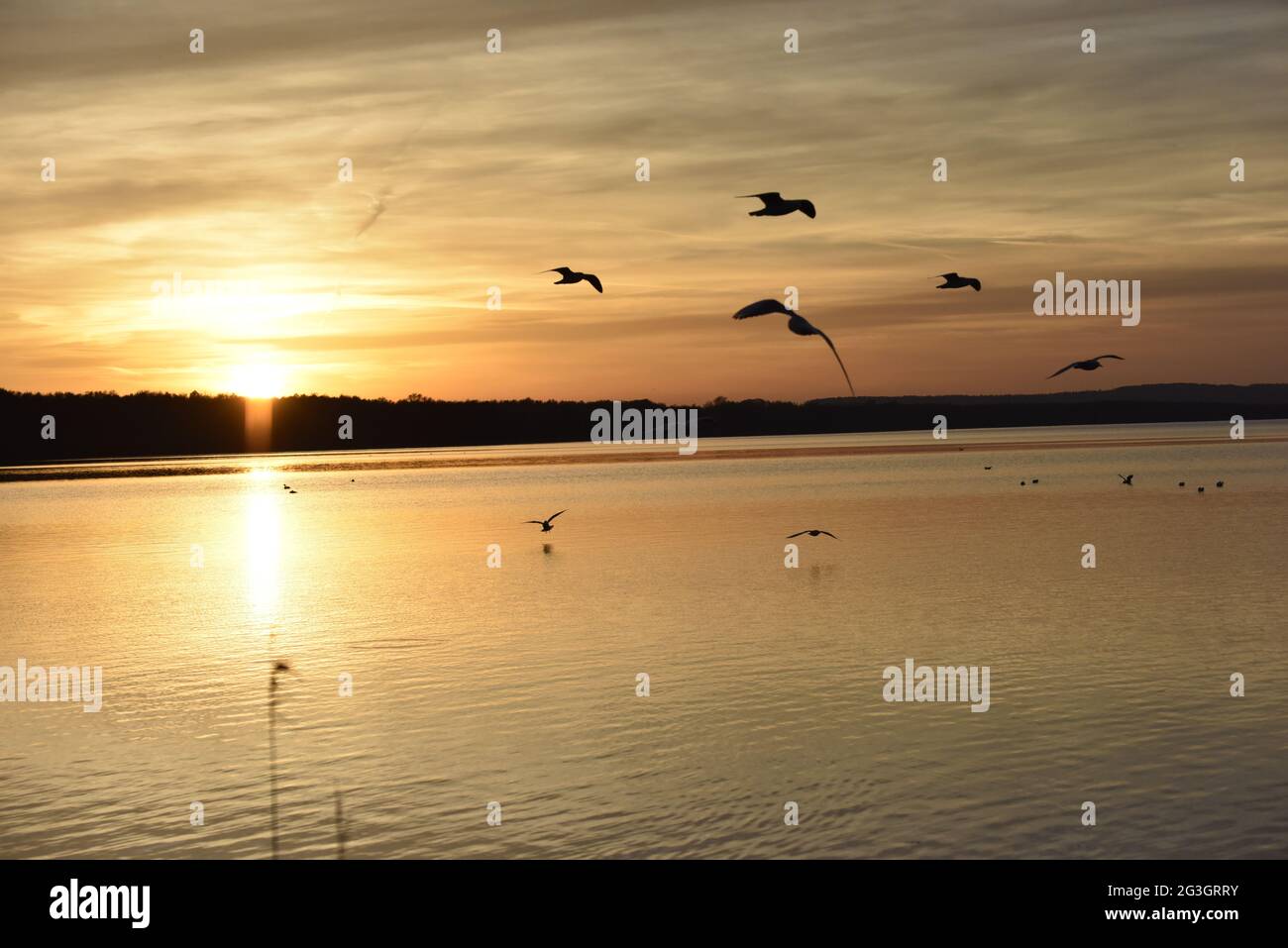 Sunset at the Steinhuder Meer Stock Photo