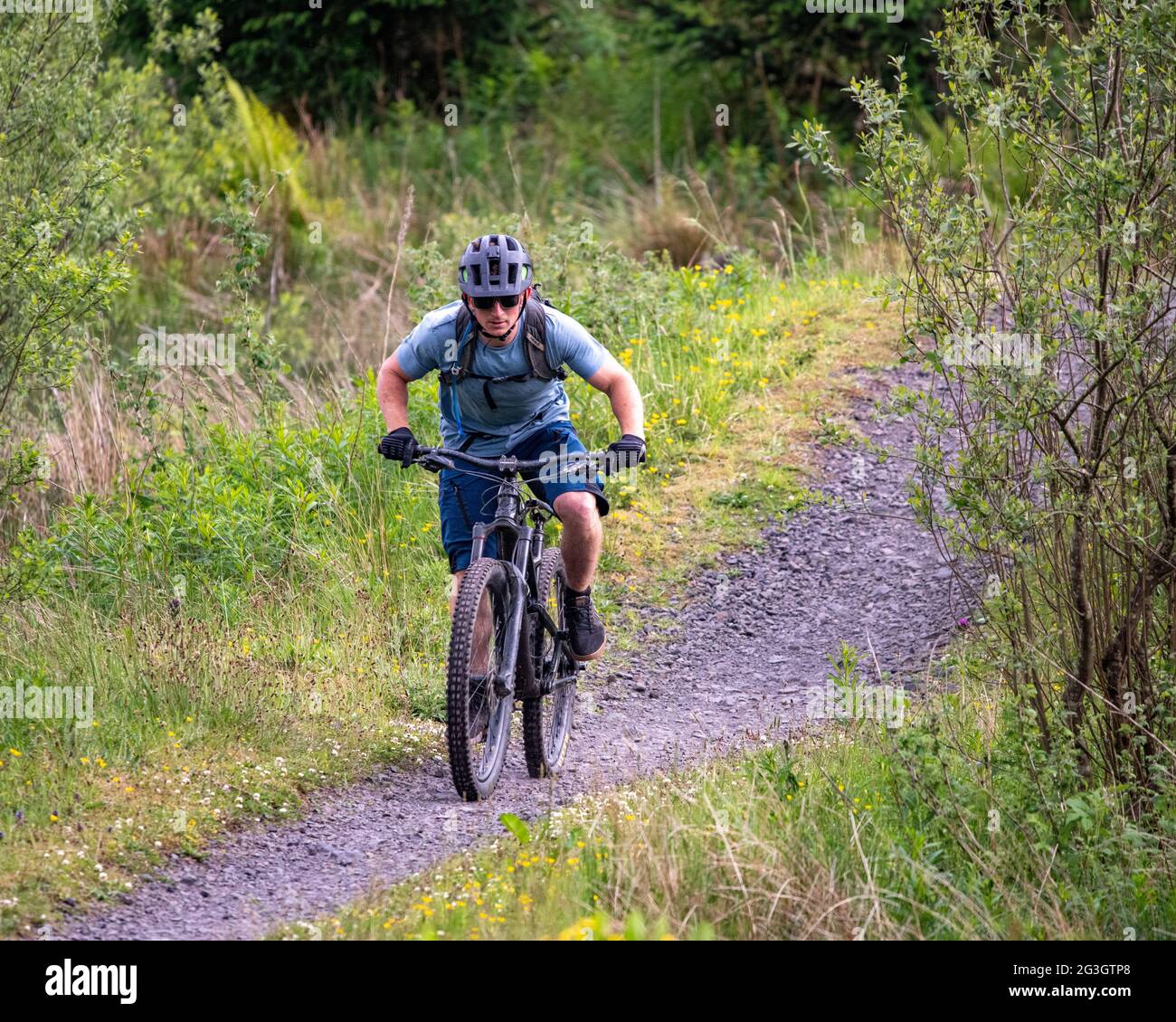 Carron Valley, Scotland, UK. 15 June 2021.  PICTURED: A mountain biker seen in Carron Valley mountain bike trails.  Pic Credit: Colin Fisher/Alamy Live News. Stock Photo