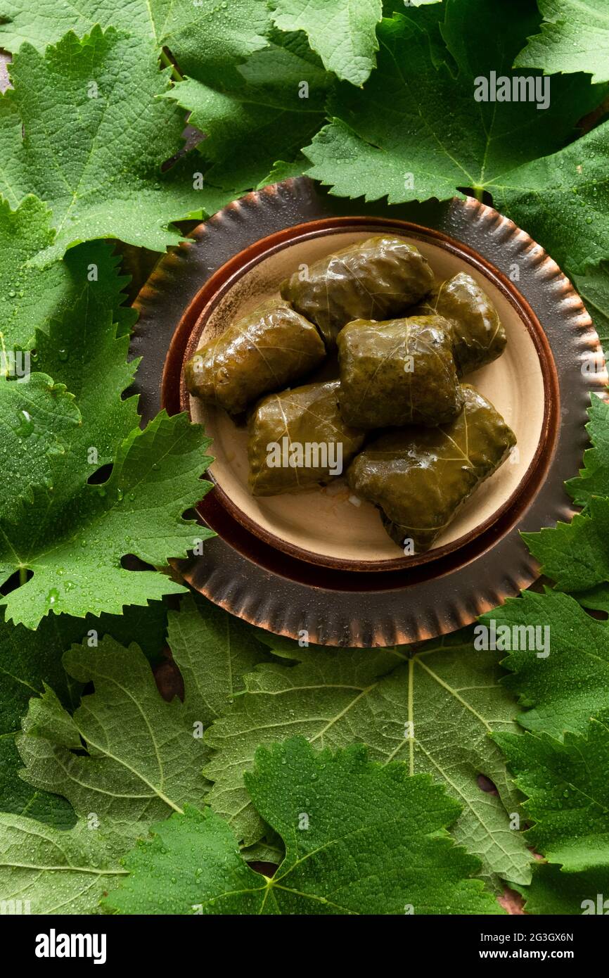 Stuffed grape leaves, healthy homemade food Stock Photo Alamy