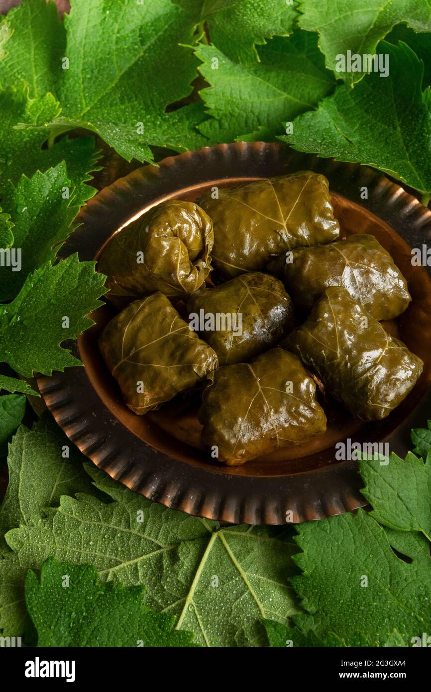 Stuffed grape leaves, healthy homemade food Stock Photo Alamy