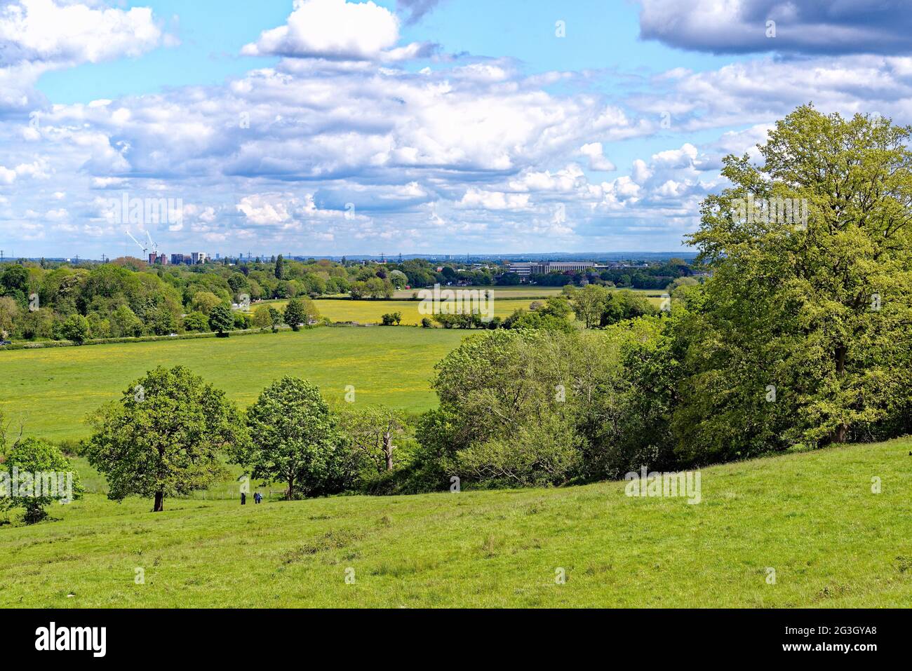 The countryside at Runnymede on a sunny summers day, Surrey England UK Stock Photo