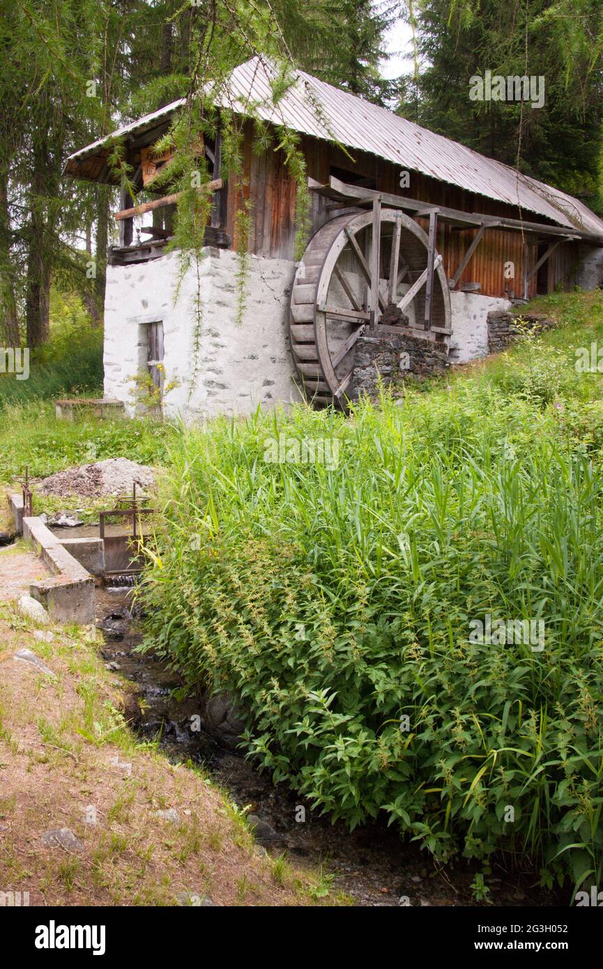 Sawmill trail hires stock photography and images Alamy