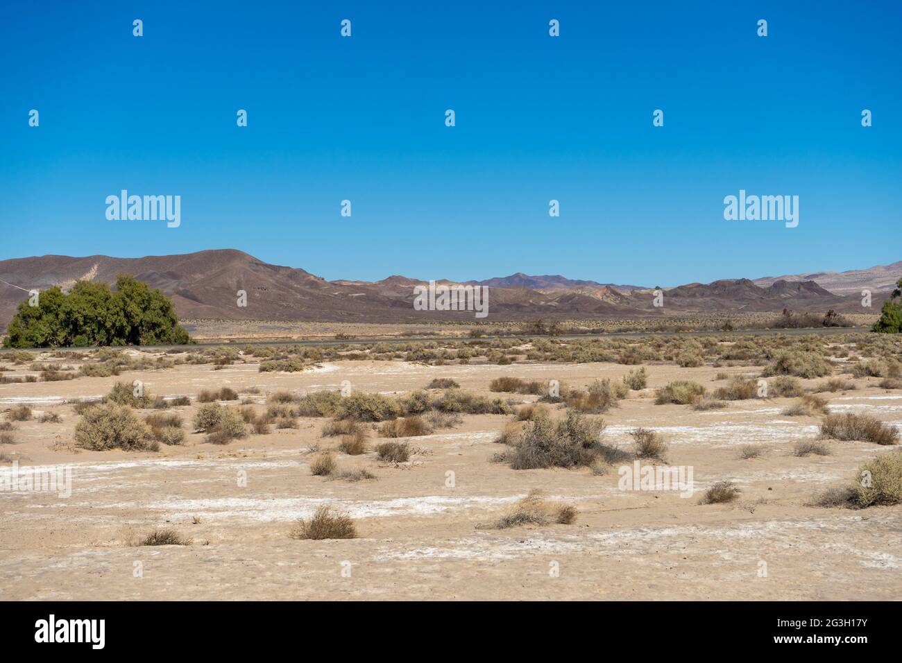Panoramic view of the Mojave Desert with open land and mountains Stock