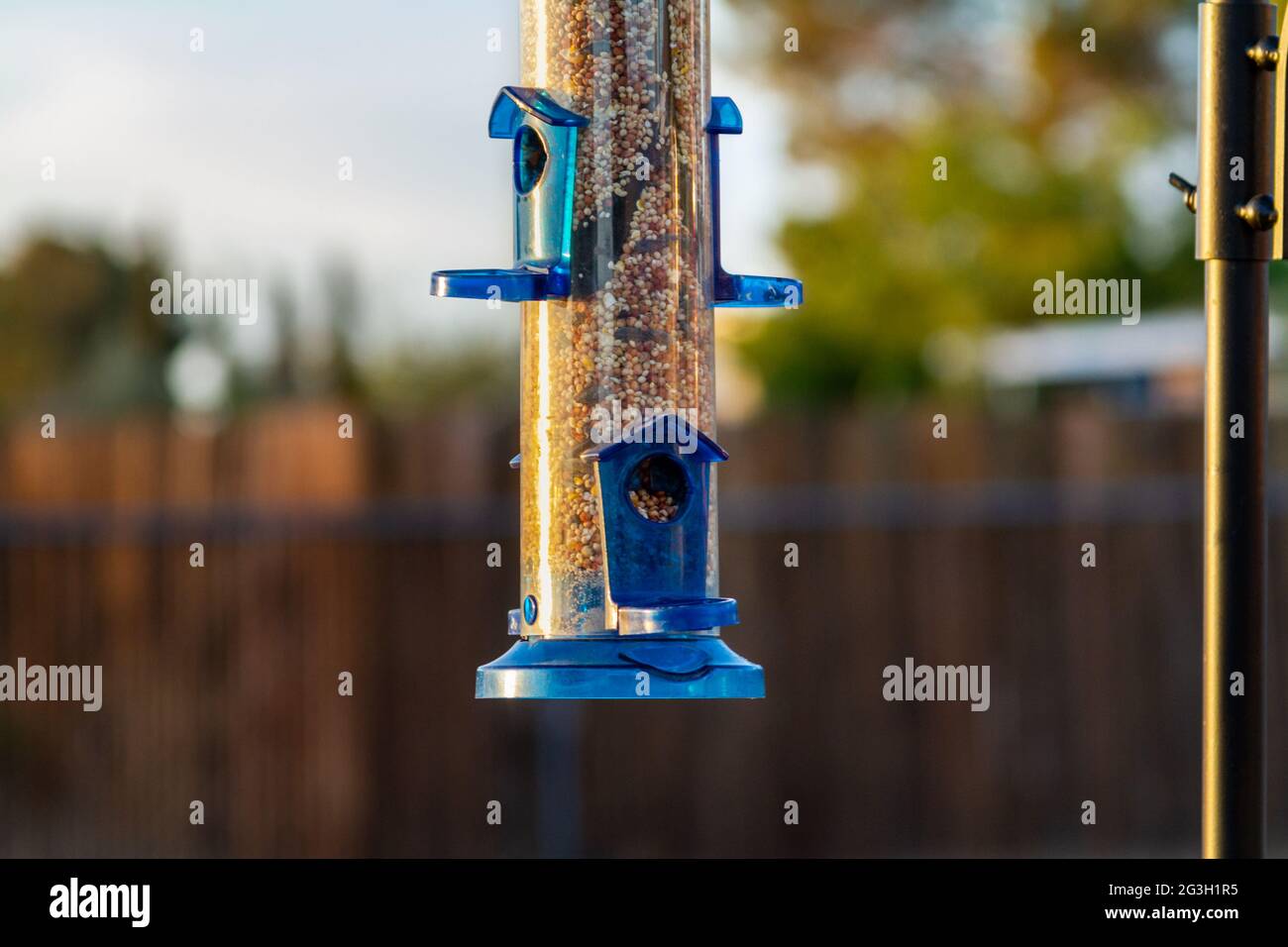 A blue bird feeder in a residential backyard Stock Photo