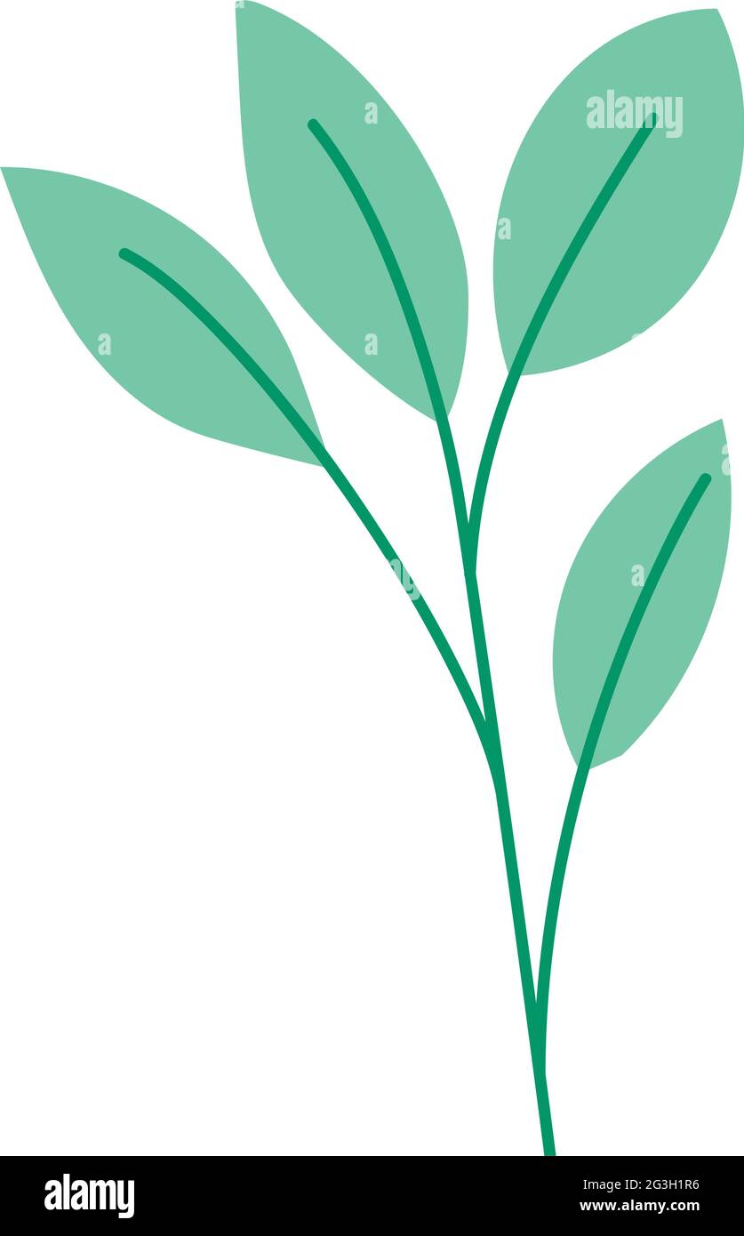 green leaves isolated Stock Vector Image & Art - Alamy