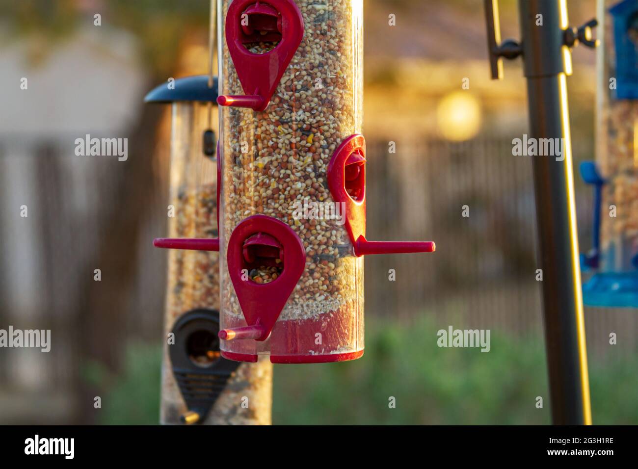 Close up view of a red bird feeder in a backyard Stock Photo