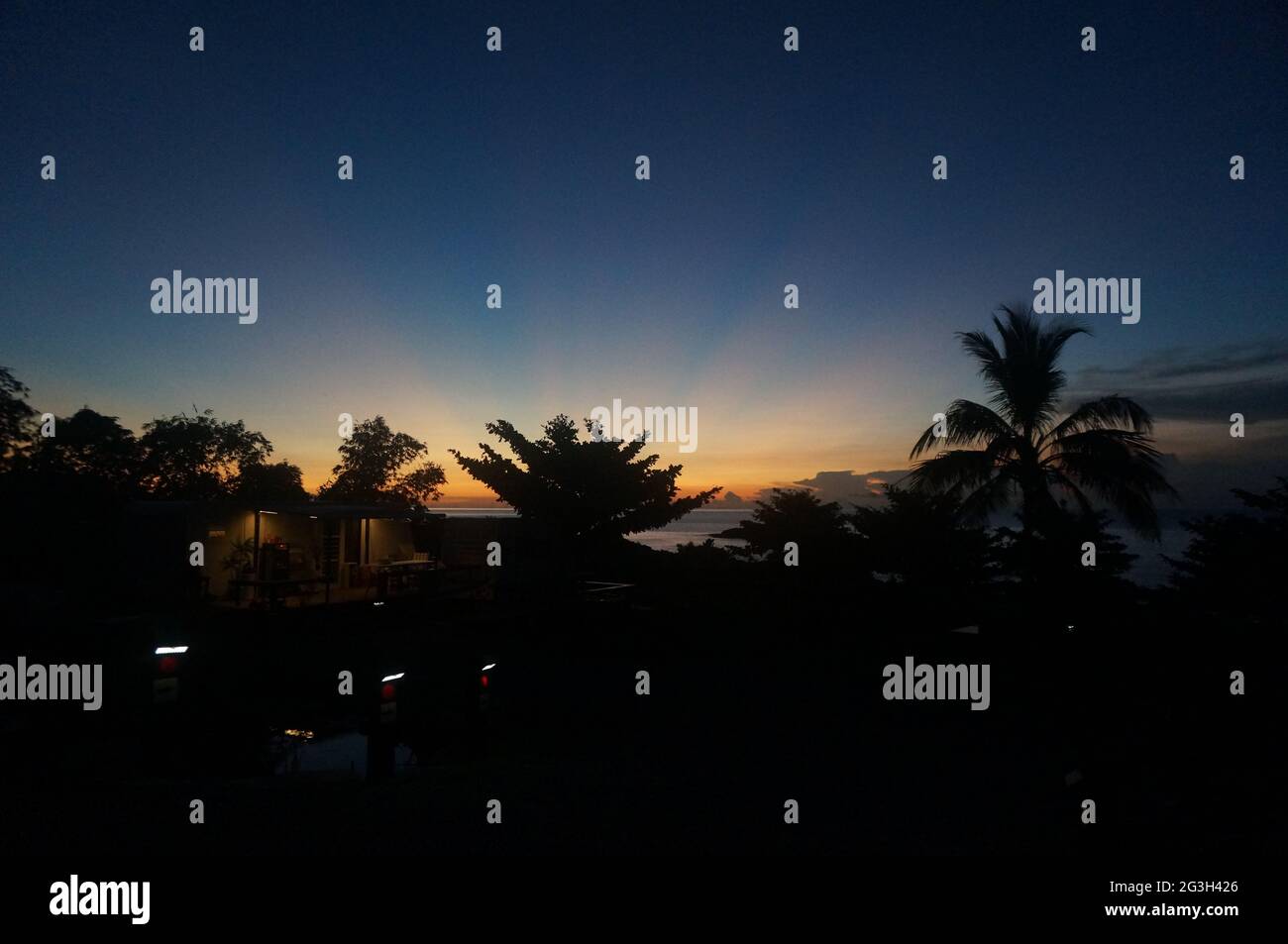 Silhouette of trees under a beautiful sunset sky background Stock Photo ...