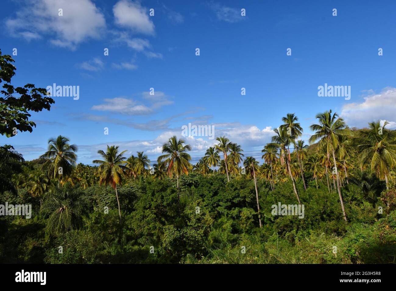 St. Vincent and the Grenadines Stock Photo