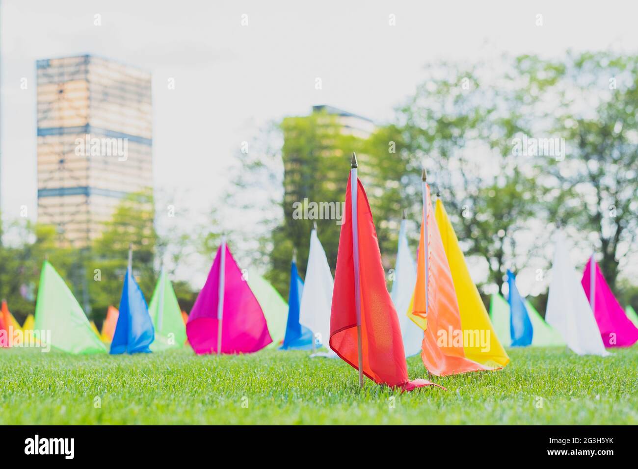 Memorial flags for residents who lost their lives to COVID-19 on the front lawn of the Southfield Municipal Campus, Southfield MI USA Stock Photo