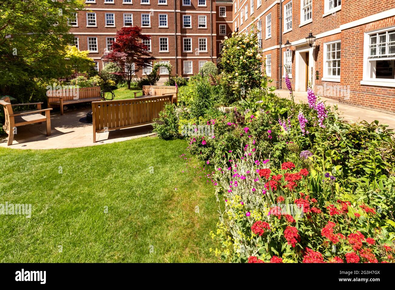 LONDON ENGLAND MIDDLE TEMPLE GARDENS WITH WOODEN BENCHES IN EARLY SUMMER Stock Photo