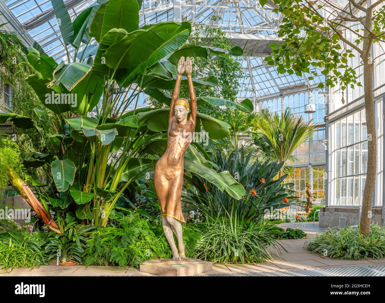 Sculpture inside the Palmenhaus at Pillnitz Castle Garden near Dresden, Saxony, Germany Stock Photo