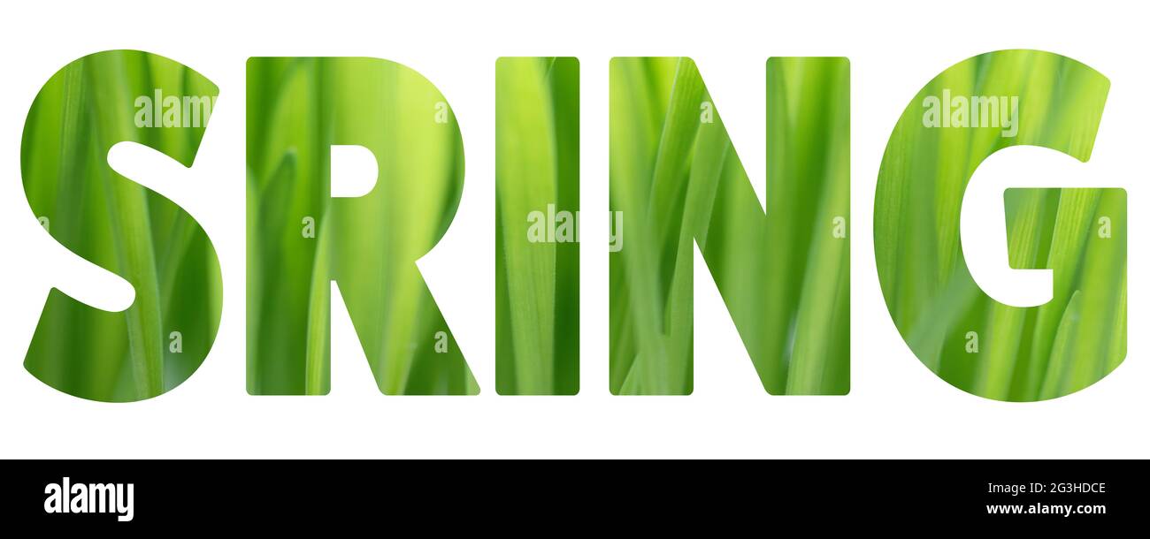 Word SPRING made of green grass texture on white background. Spring ...