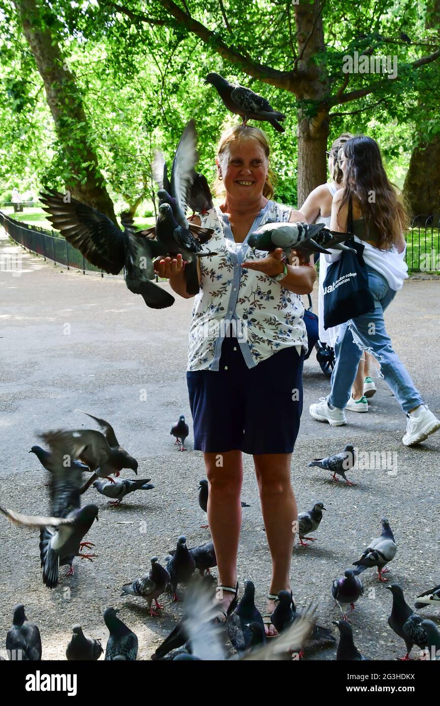 Hyde Park, London, UK. 16th June, 2021. Hyde Park, London, UK. 16th June, 2021. People feeding birds Parakeets and pigeon at Hyde park on 16th June 2021, London, UK Credit: Picture Capital/Alamy Live News Stock Photo