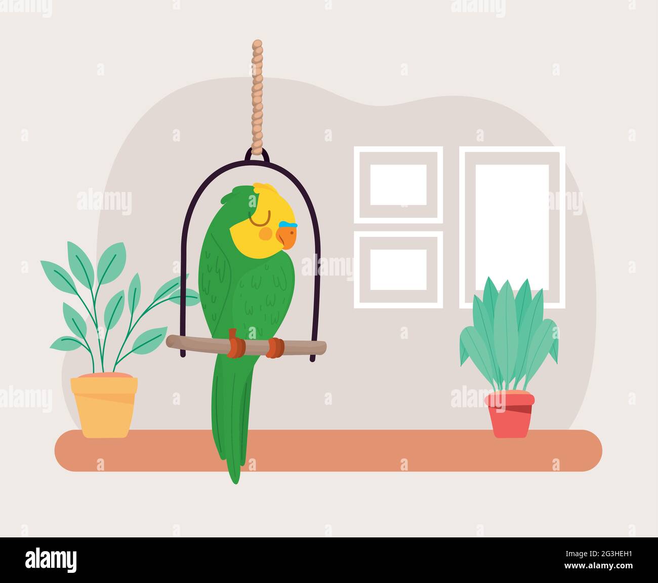parrot in a swing Stock Vector Image & Art Alamy