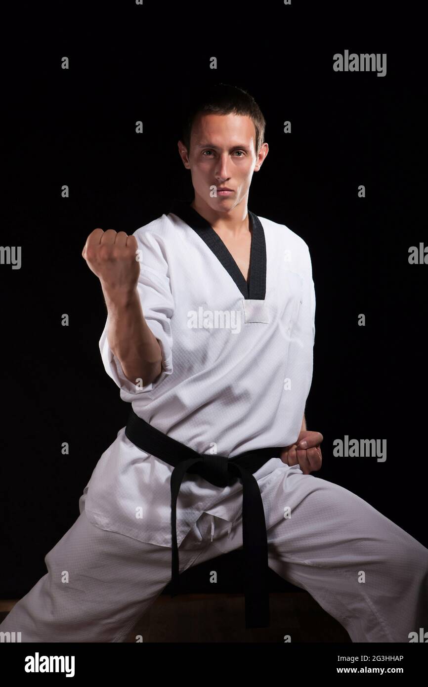 Martial arts master Stock Photo Alamy