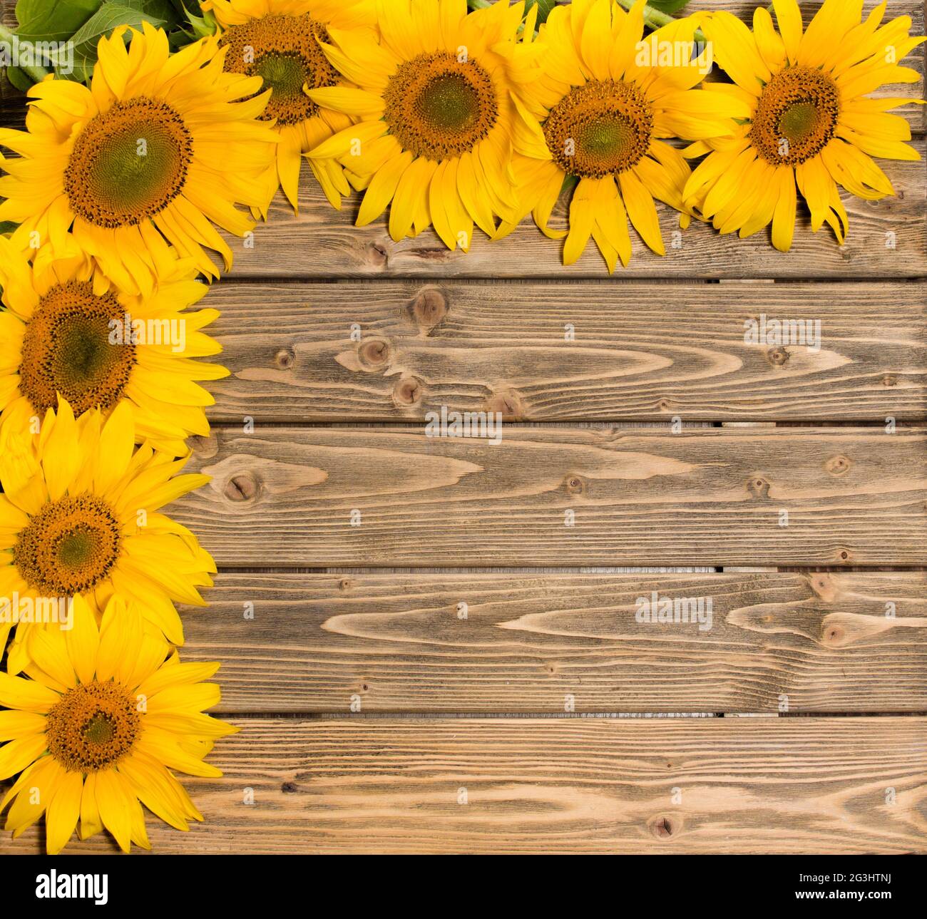 Wooden sunflowers hi-res stock photography and images - Alamy