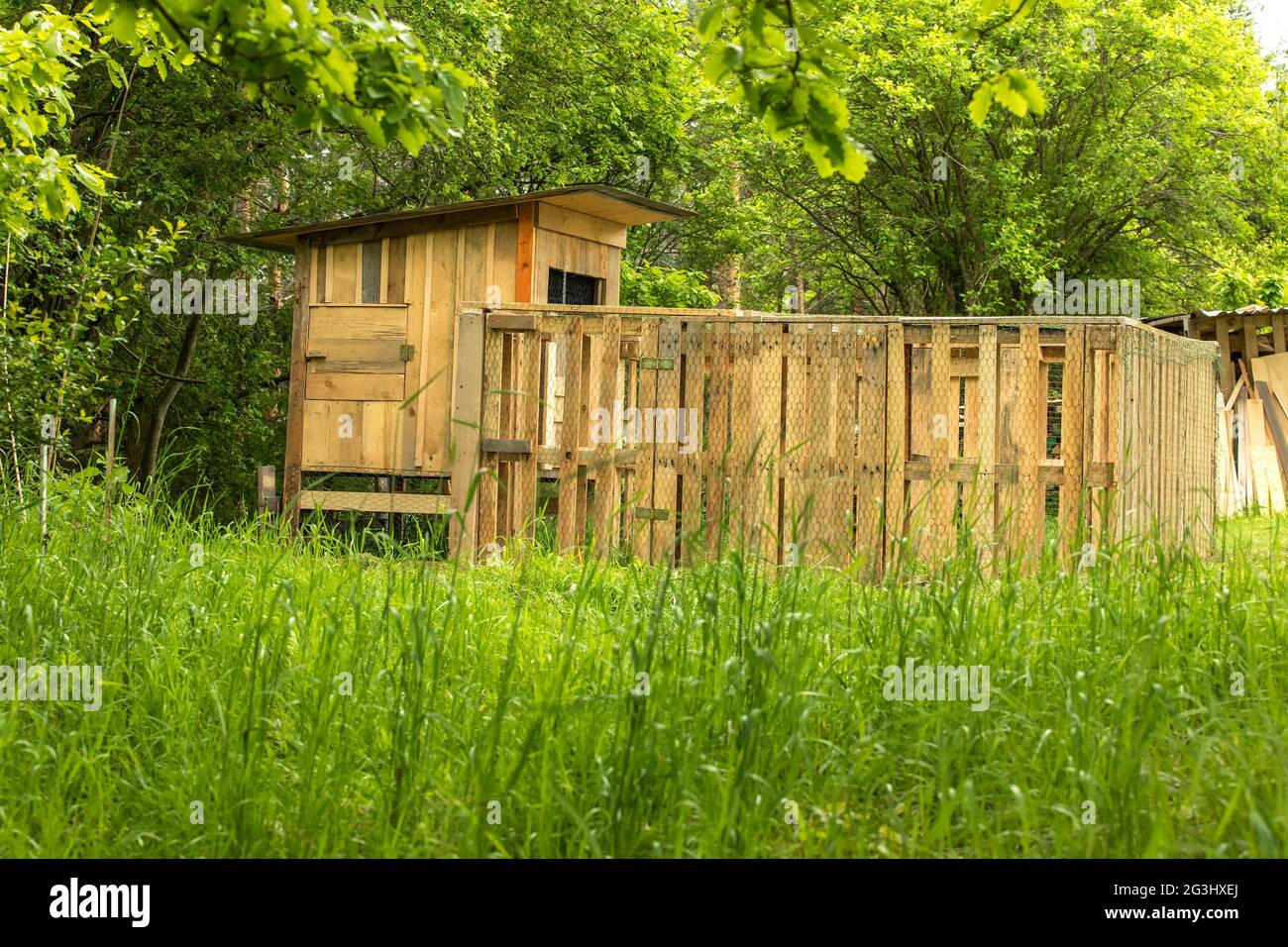 Henhouse built of wooden pallets. A small chicken coop by the forest
