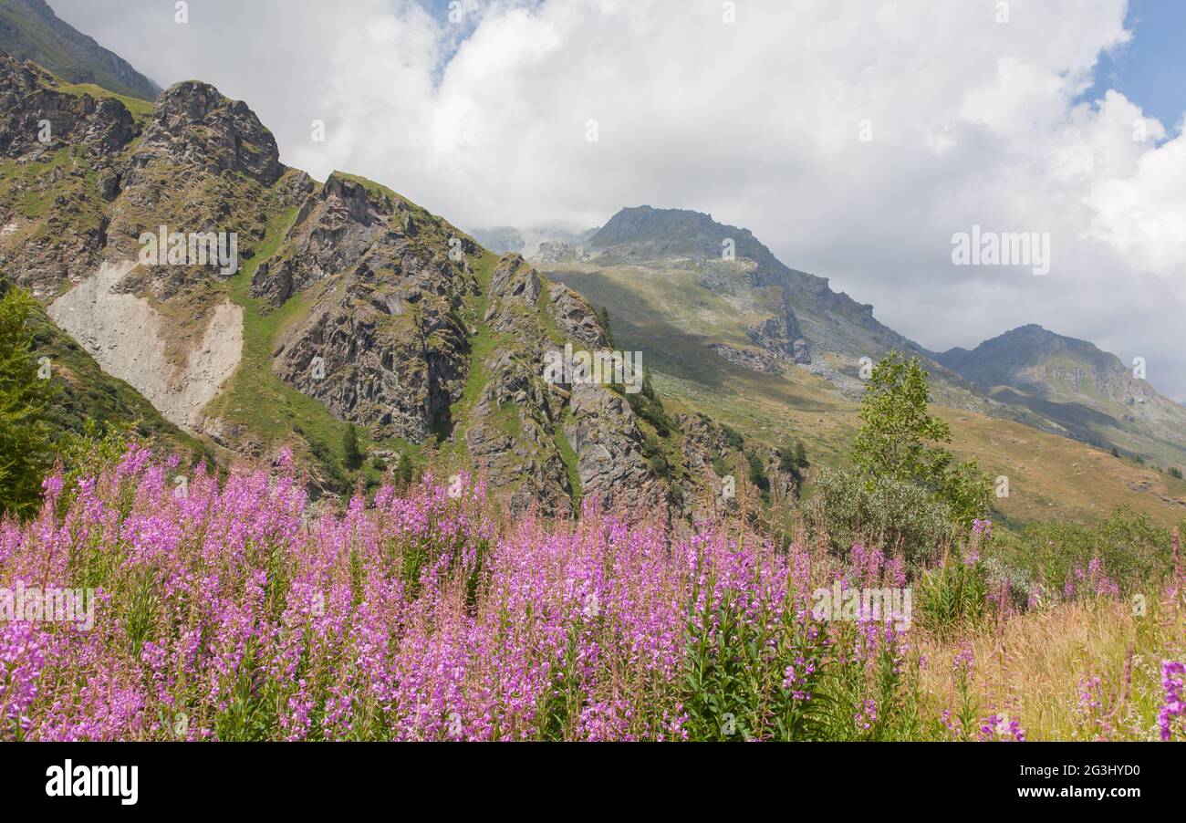 Typical view of the Swiss alps Stock Photo - Alamy