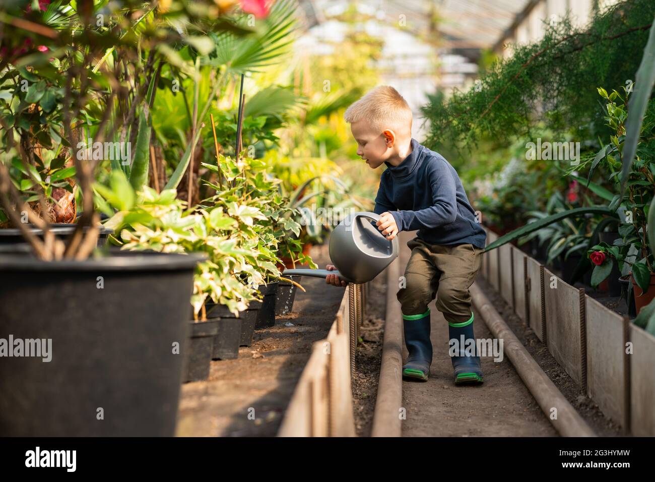 Boy watering flowerpots plants in a greenhouse Stock Photo - Alamy