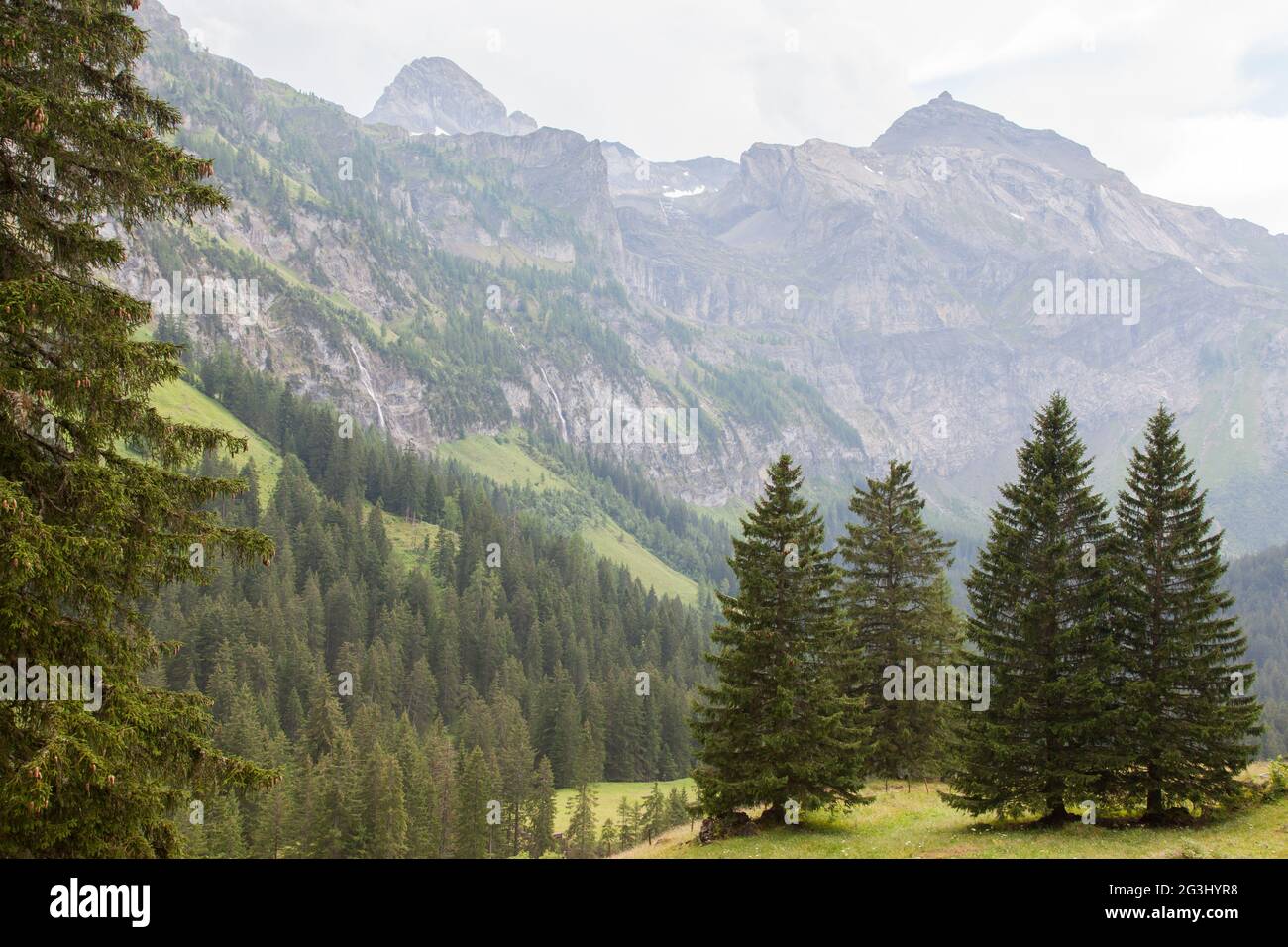 Typical view of the Swiss alps Stock Photo - Alamy