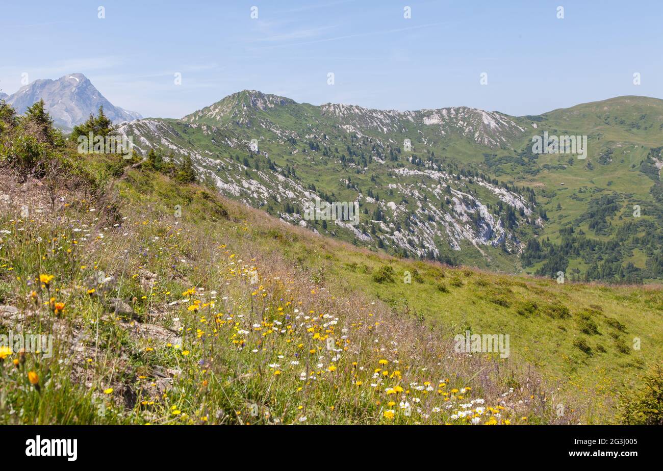 Typical view of the Swiss alps Stock Photo - Alamy