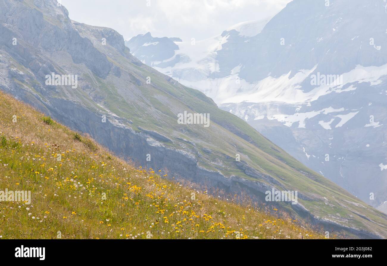 Typical view of the Swiss alps Stock Photo - Alamy