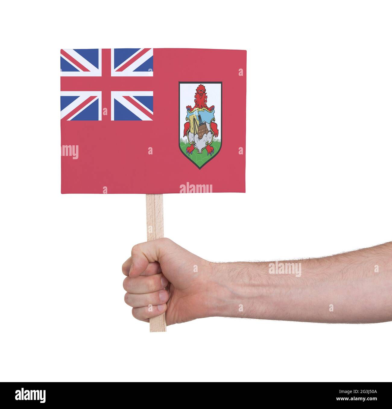 Bermuda Id Card