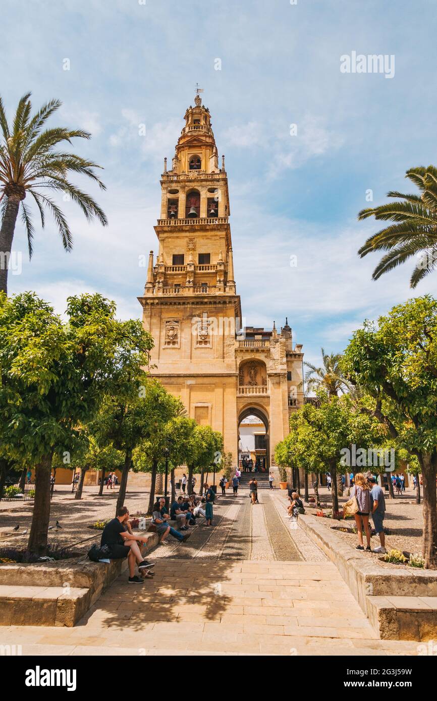 The Bell Tower at the Mezquita of Córdoba, Spain. At 54 meters, it is the tallest structure in the city. Situated along a courtyard of orange trees Stock Photo