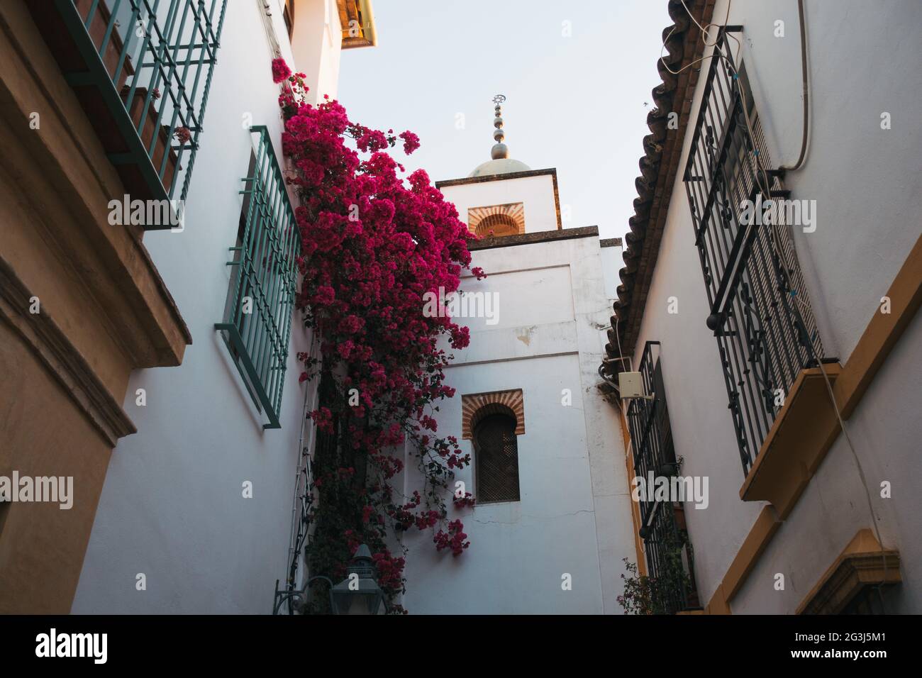 Bright pink bougainvillea flowers hang from a building in Córdoba, Spain Stock Photo