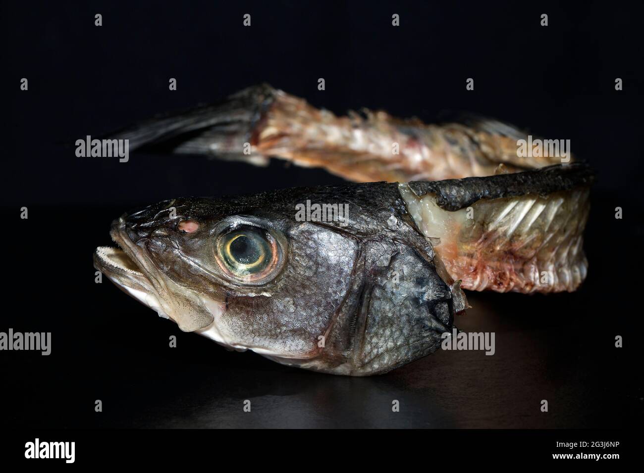 European bass Stock Photo