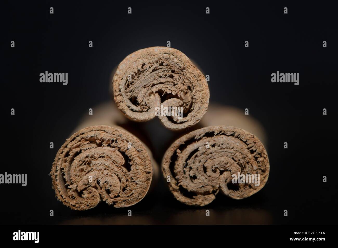 Dried bark strips of Cinnamon Stock Photo
