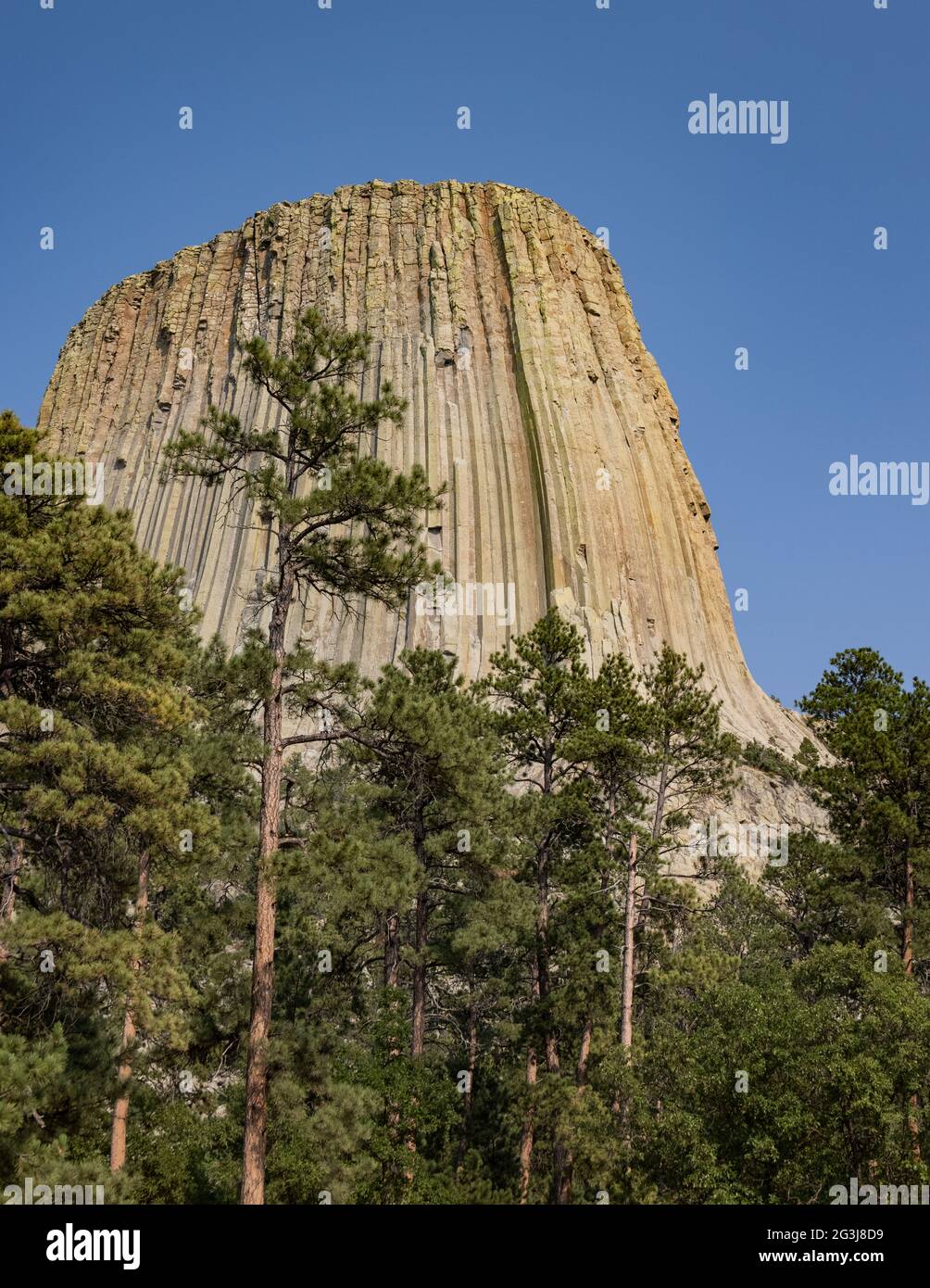 Devils' Tower, Wyoming Stock Photo Alamy