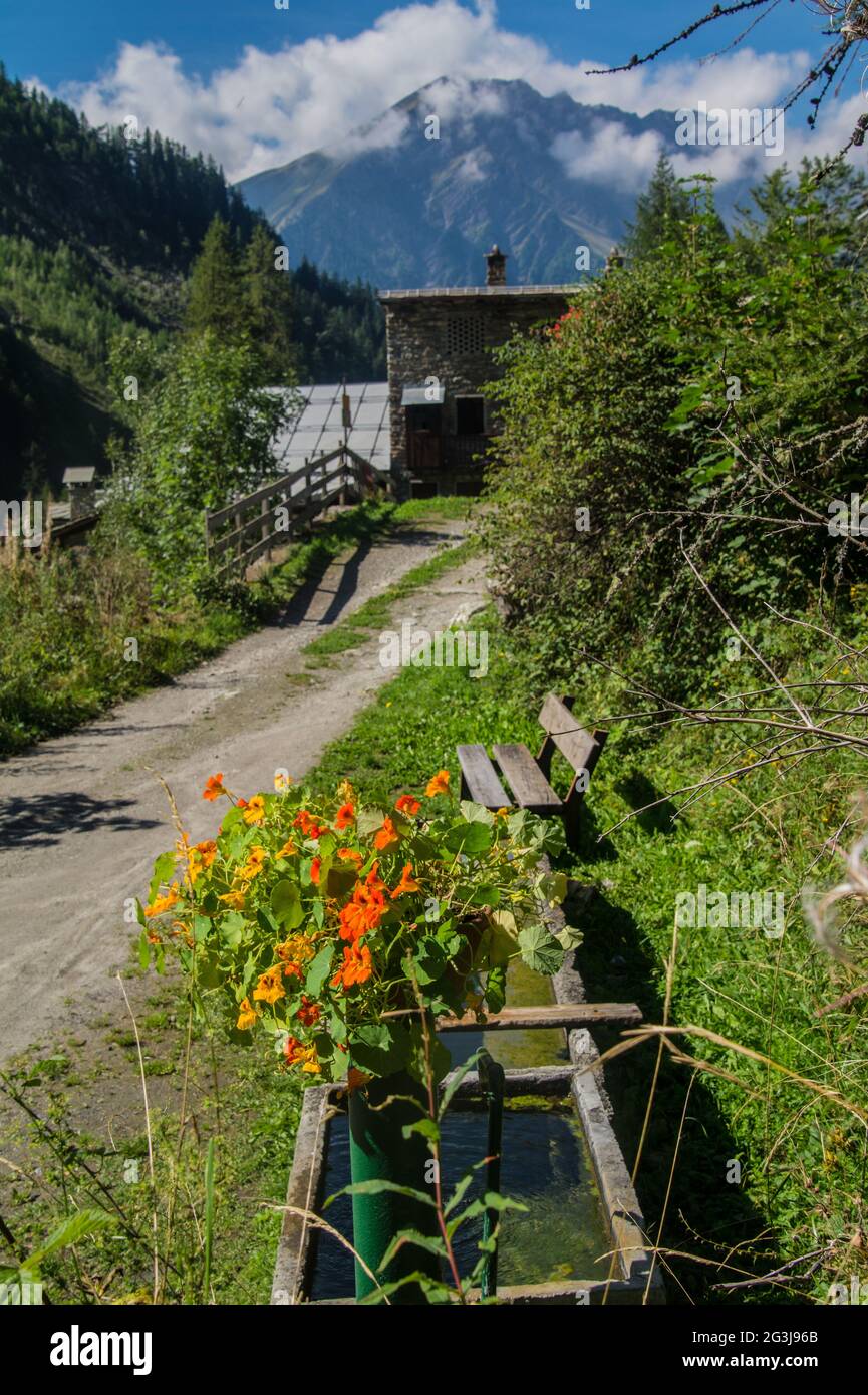 Italian alps landscape Stock Photo Alamy